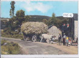 FOLKLORE- LE MORVAN- SCENE MORVANDELLE- LA RENTREE DES FOINS - Autres & Non Classés