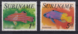 Suriname Surinam Neufs Sans Charnière **Liopropoma Carmabi Gramma Loreto Poissons ** - Suriname