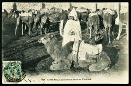 A67  ALGERIE CPA  CHAMEAUX DANS UN FONDOUK - Collections & Lots