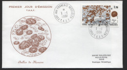 1991  Flore Antarctique Boules De Mousse  Yv 156 - FDC