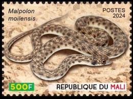 MALI 2024 STAMP 1V - REPTILES REPTILE - SNAKES SNAKE SERPENT SERPENTS - MNH - Serpenti