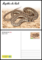 MALI 2024 STATIONERY CARD - REPTILES REPTILE - SNAKES SNAKE SERPENT SERPENTS - Snakes