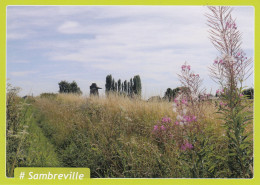 SAMBREVILLE  LE MOULIN A VENT - Sambreville