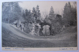 BELGIQUE - BRUXELLES - Le Ravin Du Bois De La Cambre - Bossen, Parken, Tuinen