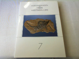 Ausgrabungen Und Funde In Westfalen-Lippe, Jahrgang 7 - Arqueología