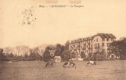 FRANCE - Pau - Le Hameau - Le Troupeau - Carte Postale Ancienne - Pau