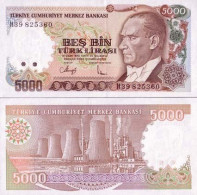 Billets De Banque Turquie Pk N° 198 - 5000 Lira - Turkije