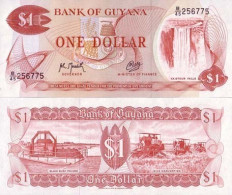Billets Banque Guyana Pk N° 21 - 1 Dollar - Guyana