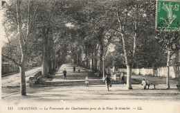 FRANCE - Chartres - La Promenade Des Charbonniers Prise De La Place St Maurice - LL - Carte Postale Ancienne - Chartres