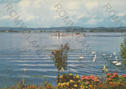 CARTOLINA  UNTERSEE (LAGO DI COSTANZA),BADEN-WUERTTEMBERG,GERMANIA-NON VIAGGIATA - Radolfzell