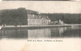 BELGIQUE - Le Château De Waulsort - Vallée De La Meuse - Carte Postale Ancienne - Dinant