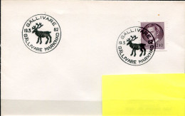 19-3-1982 Cover From GALLIVARE MARKNAD - Rendier - Rendeer -  Cover To Belgium - Lettres & Documents