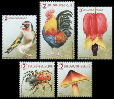 5036/5040**(BL303) - La Nature Tricolore / Tricolore Naturel / Dreifarbige Natur / Tricolor Nature - Marijke Meersman - Arañas