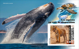 Djibouti 2023, Animals In Danger, Whale, Turtle, Tiger, BF IMPERFORATED - Baleines