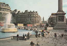 Trafalgar Square : Carte Animée - Trafalgar Square