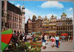 BELGIUM BELGIQUE BRUSSELS BRUXELLES GRAND PLACE HOTEL DE VILLE POSTCARD CARTE POSTALE POSTKARTE CARTOLINA ANSICHTSKARTE - Avenues, Boulevards