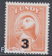 38. #L87 Great Britain Lundy Island Puffin Stamps 1989 3p Provisional Mint Retirment Sale Price Slashed! - Emissione Locali