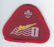 B 11 - 100 Scout Badge - Scouting