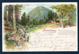 Allemagne. Inselsberg ( Montagne De La Forêt De Thuringe - 916 M).District De Gotha.  Ca 1900 - Tabarz