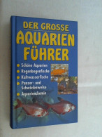 Der Große Aquarienführer : Schöne Aquarien, Regenbogenfische, Kaltwasserfische, Panzer- Und Schwielenwelse, - Otros & Sin Clasificación