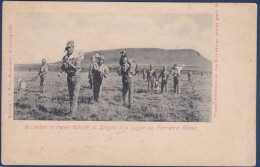 CPA Afrique Du Sud Transvaal Guerre War Des Boers Angleterre Non Circulé - Sud Africa