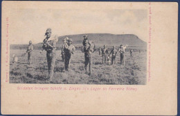 CPA Afrique Du Sud Transvaal Guerre War Des Boers Angleterre Non Circulé - Zuid-Afrika