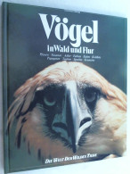 Vögel In Wald Und Flur - Tierwelt