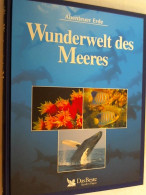 Wunderwelt Des Meeres - Tierwelt