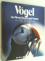 Vögel Der Meere, Küsten Und Ströme. - Animali