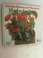 Prächtige Blumen Und Pflanzen In Hydrokultur. - Nature