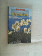 Alpenblumen : Die Häufigsten Arten Erkennen Und Bestimmen. - Natura