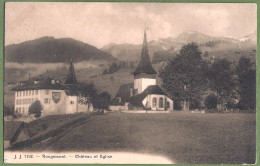 CPA - SUISSE - ROUGEMONT - CHATEAU ET ÉGLISE - - Rougemont