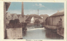 Hericourt Vue Sur La Luzine - Héricourt