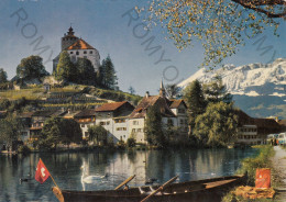 CARTOLINA  WERDENBERG BEI BUCHS,SAN GALLO,SVIZZERA-MIT SANTISGRUPPE M.2505-NON VIAGGIATA - Buchs