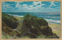 NL.- GROETEN UIT BERGEN AAN ZEE. 1962. DUIN, STRAND, ZEE. - Saluti Da.../ Gruss Aus...