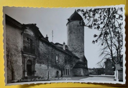 19914 -  Château D'Aubonne Entrée Et Donjon - Aubonne