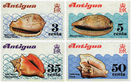 33657 MNH ANTIGUA 1972 CONCHAS - Other & Unclassified