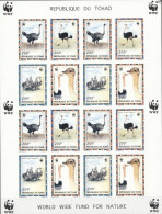 Tchad 1996, WWF, Birds Ostrich Sheetlet IMPERFORATED - Straussen- Und Laufvögel