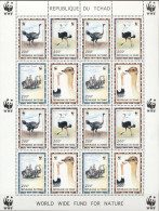 Tchad 1996, WWF, Birds Ostrich Sheetlet - Autruches