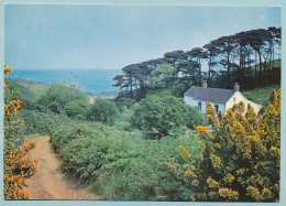 Belvoir House - Footpath From Belvoir Bay - Guernsey