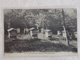 St Blin Vue Des Ruches De M Sylvestre , Ferme St Hubert , Abeilles - Otros & Sin Clasificación