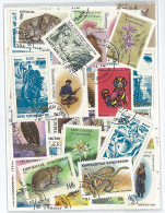 Collection De Timbres Kirghizistan Oblitérés 50 Timbres Différents - Kyrgyzstan