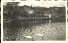 41357317 Ilsenburg Harz Hotel Rote Forellen Teich Schwaene Ilsenburg - Ilsenburg