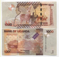 Billet De Banque Ouganda Pk N° 49 - 1000 Shilling - Ouganda