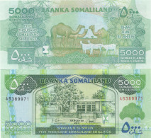 Billets Banque Somaliland Pk N° 21 - 5000 Shillings - Somalië