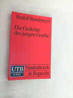 Die Gedichte Des Jungen Goethe : Eine Gattungsgeschichtliche Einführung. - Autores Alemanes