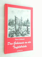 Das Geheimnis An Der Teufelsbrücke : Geschichten Aus Dem Harz. - Nuevos