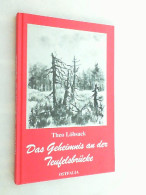 Das Geheimnis An Der Teufelsbrücke : Geschichten Aus Dem Harz. - Korte Verhalen