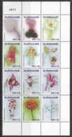 2017 Surinam Suriname Flowers Fleurs Complete Block Of 12 MNH - Suriname