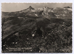 FLUMSERBERG Blick Vom Prodchamm Gegen Spitzmeilen - Flums